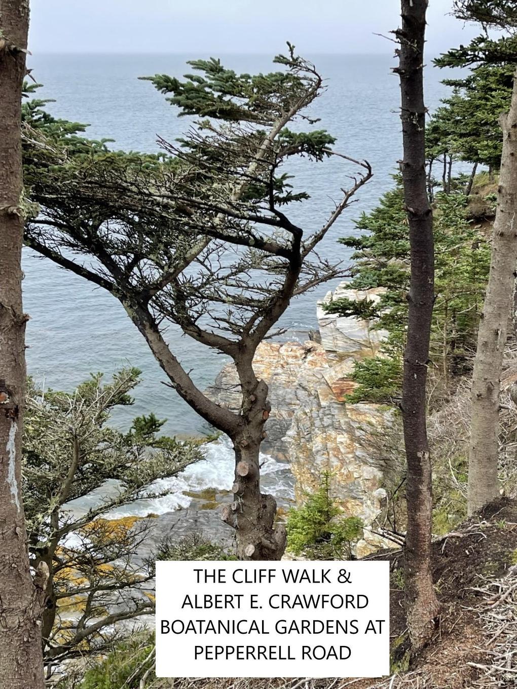 Lot 10C-A Pepperrell Road, Cape St Marys, NS