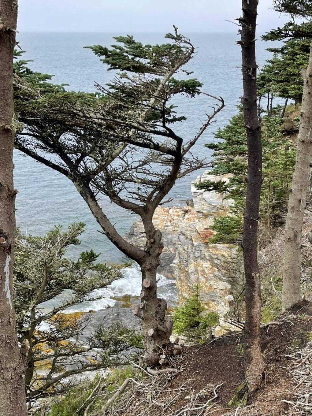 Lot 10C-A Pepperrell Road, Cape St Marys, NS