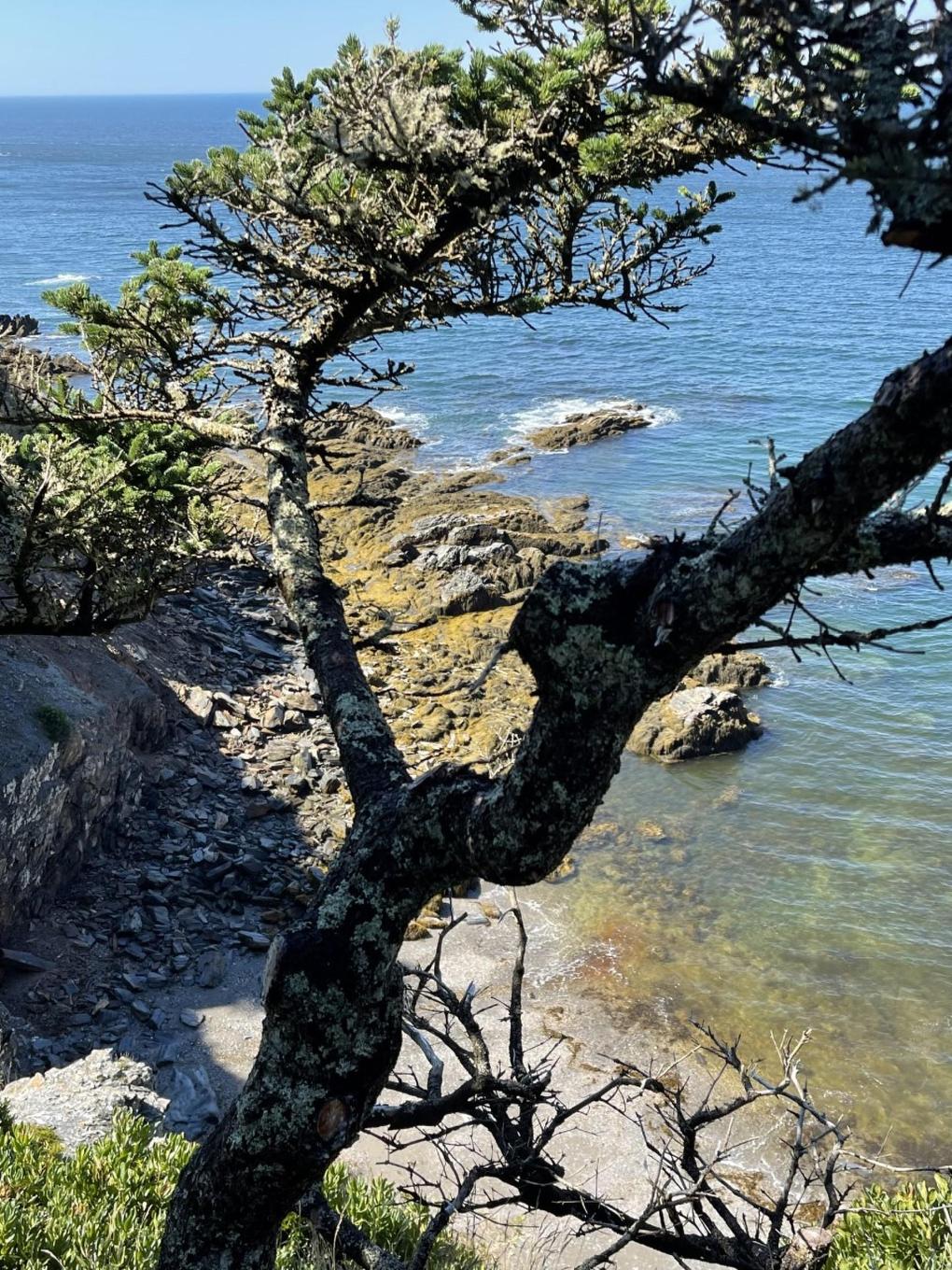 Lot 10C-A Pepperrell Road, Cape St Marys, NS