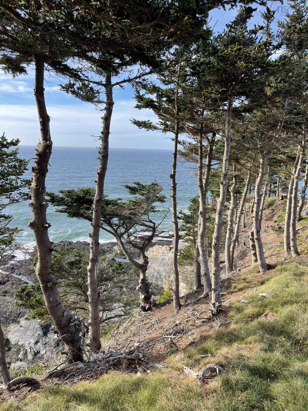 Lot 10C-A Pepperrell Road, Cape St Marys, NS