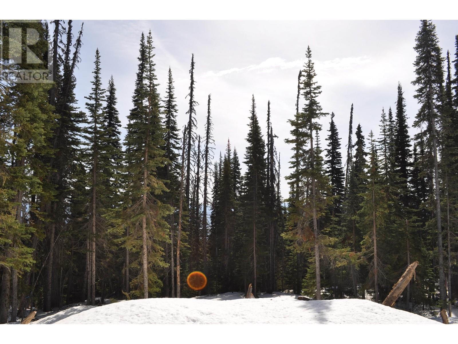 Pr. St Lt 11 Alpine Way, Smithers, BC