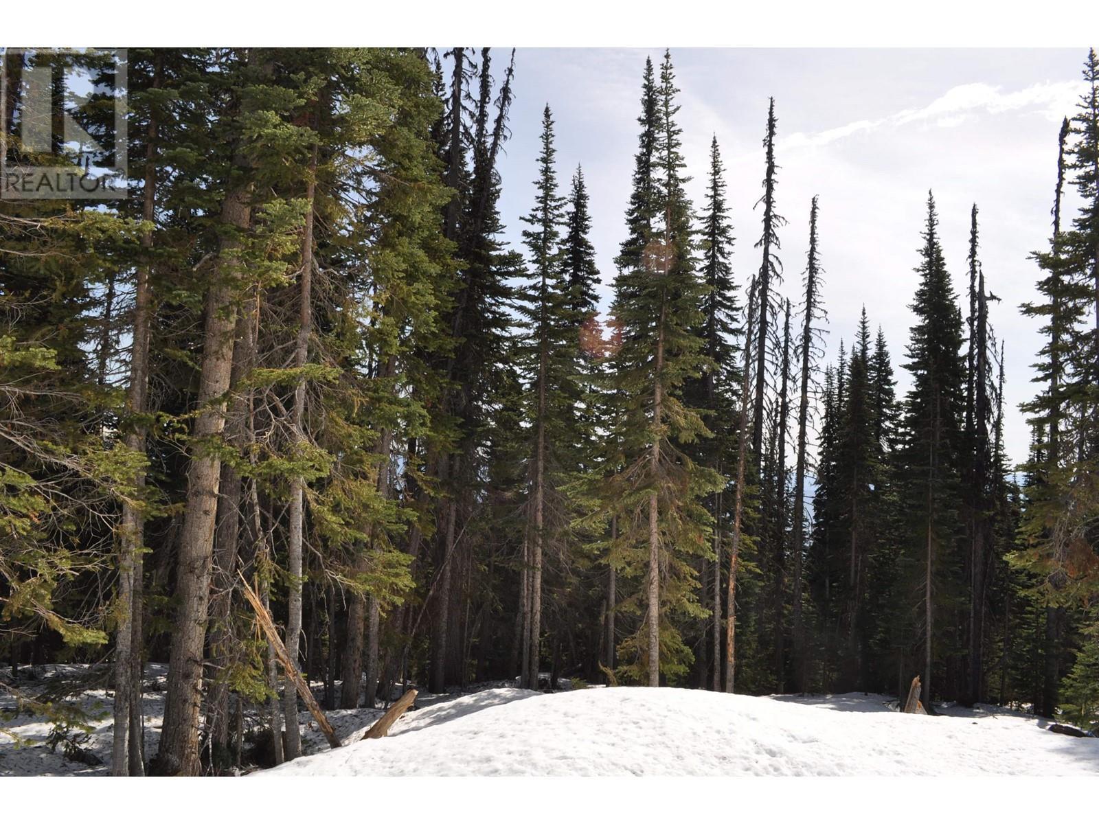 Pr. St Lt 11 Alpine Way, Smithers, BC