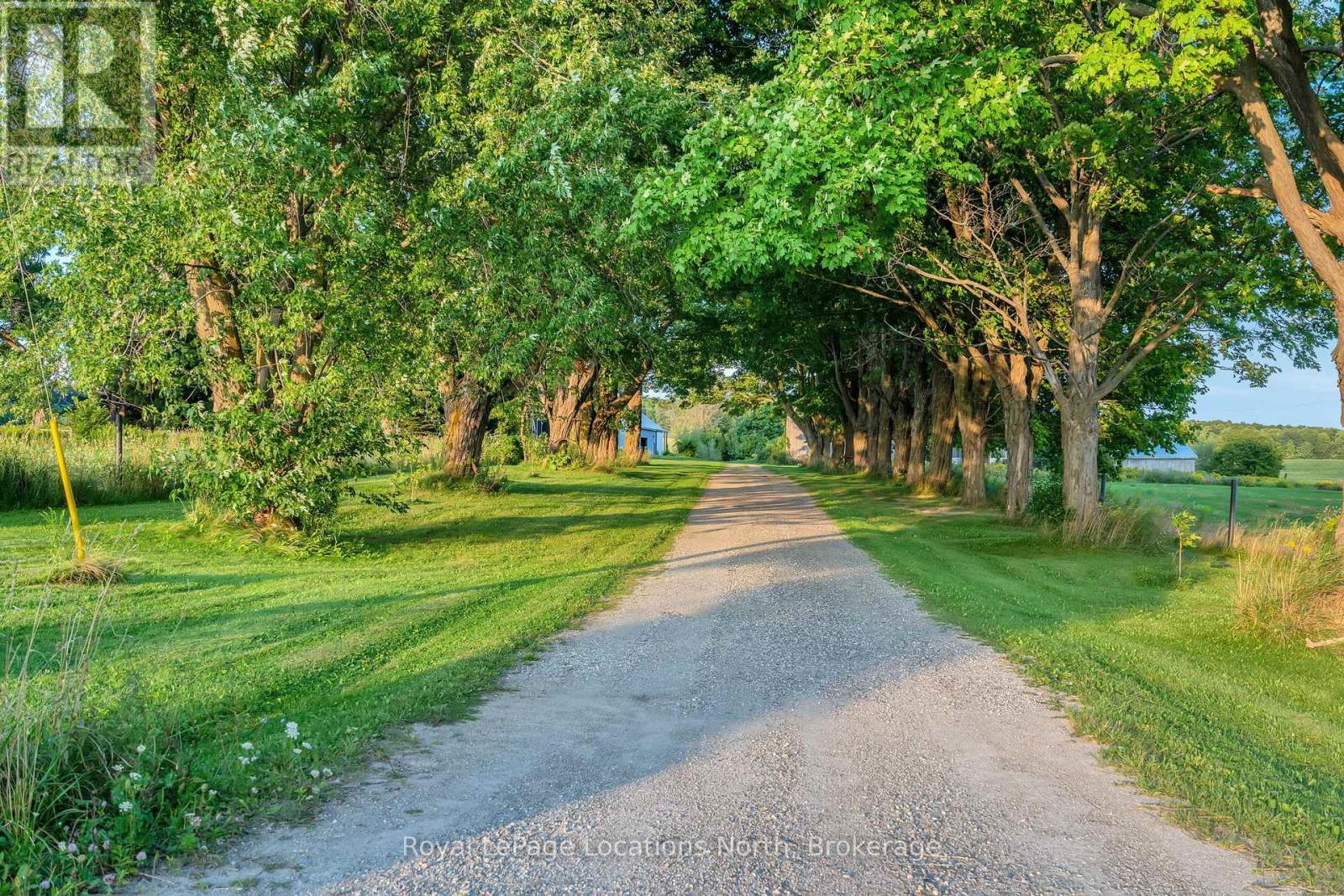 2605 County 42 Road, Clearview, ON - Outdoor