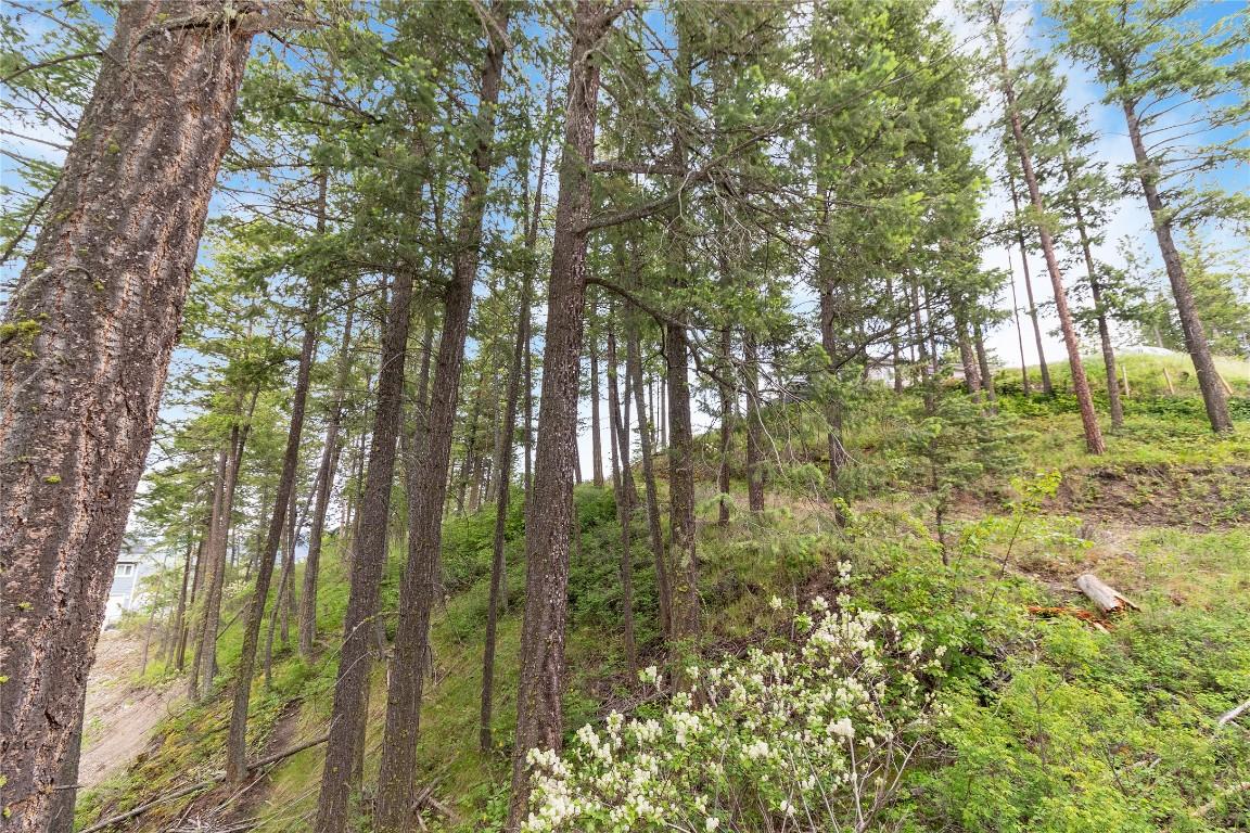 7801 Alpine Road, Fintry, BC - Outdoor With View