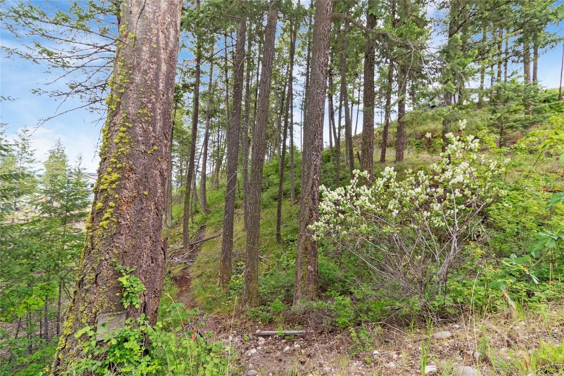 7801 Alpine Road, Fintry, BC - Outdoor With View