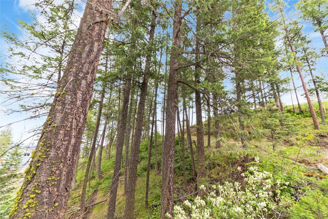 7801 Alpine Road, Fintry, BC - Outdoor With View