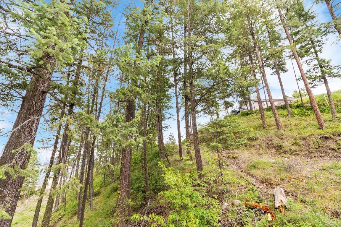 7801 Alpine Road, Fintry, BC - Outdoor With View