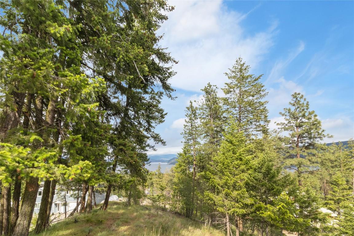 7801 Alpine Road, Fintry, BC - Outdoor With View