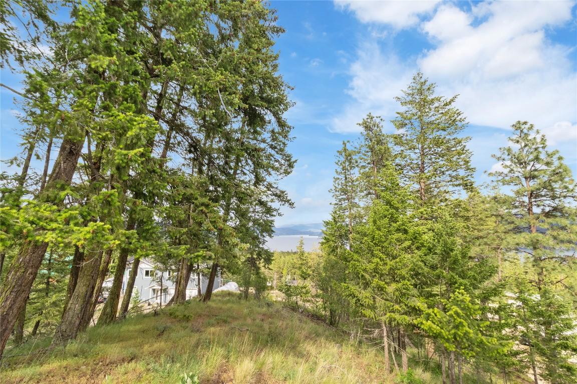 7801 Alpine Road, Fintry, BC - Outdoor With View