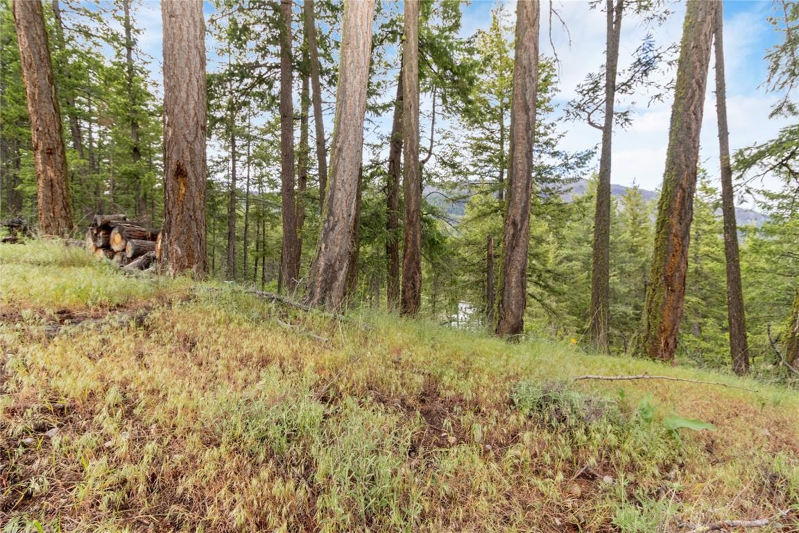 7801 Alpine Road, Fintry, BC - Outdoor With View