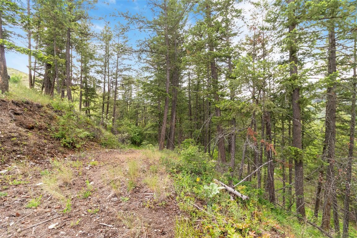 7801 Alpine Road, Fintry, BC - Outdoor With View