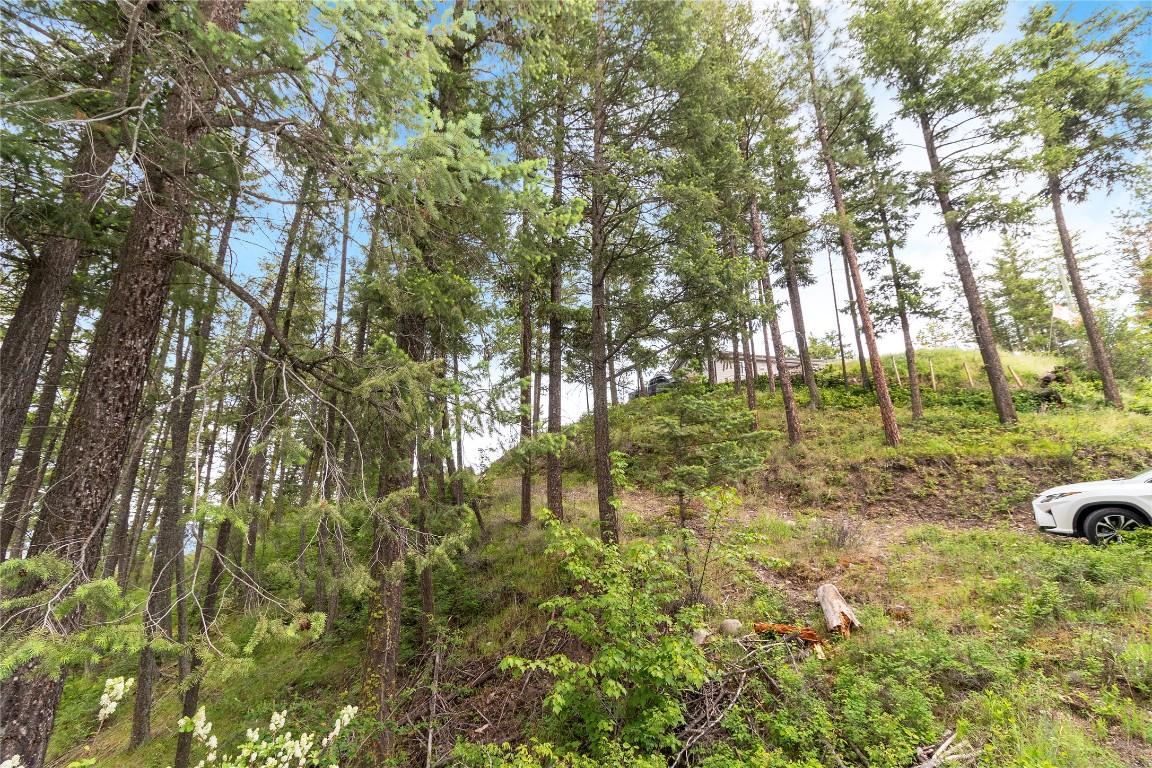 7801 Alpine Road, Fintry, BC - Outdoor