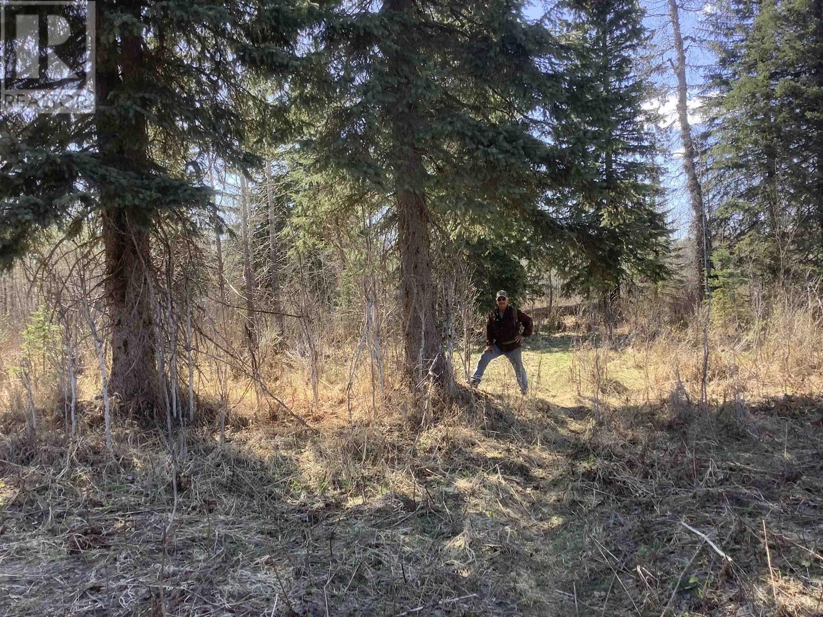 Bend Station Road, Prince George, BC