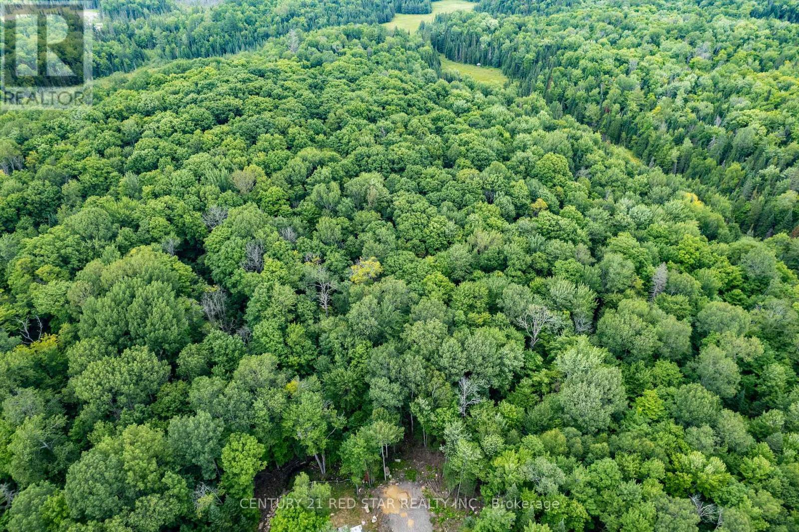 2978 Glamorgan Road, Highlands East, ON