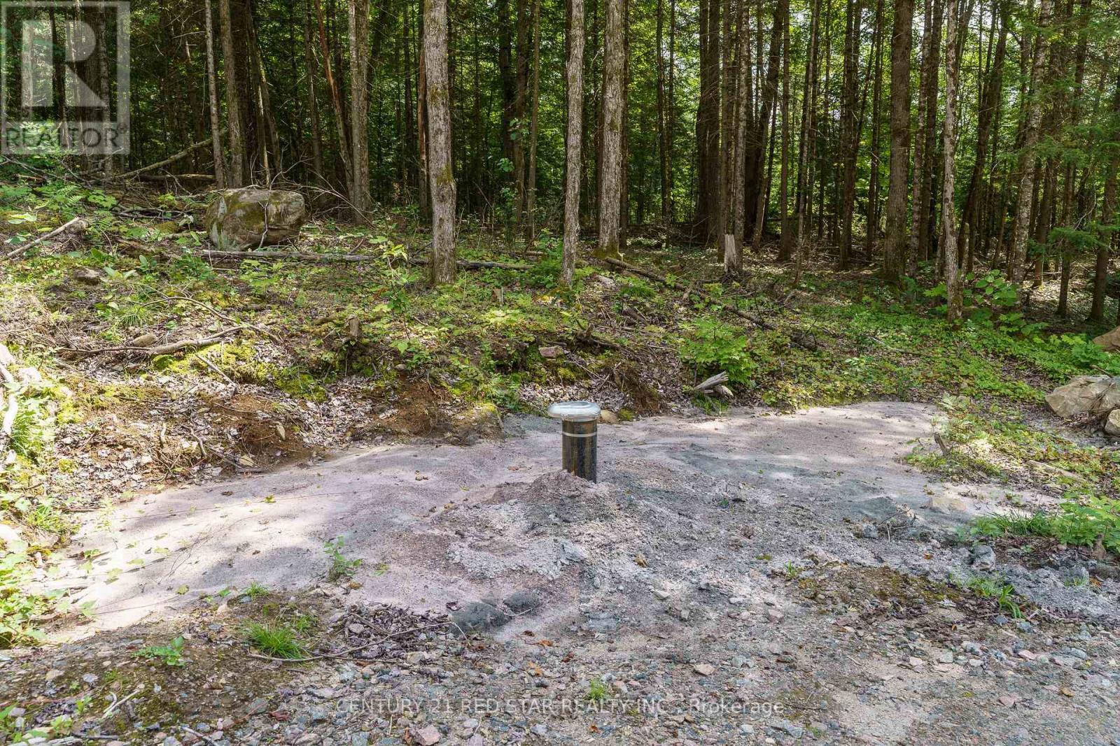 Well - 2978 Glamorgan Road, Highlands East, ON