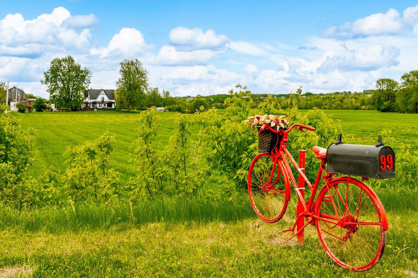 View - 99 Ch. De La Station, Compton, QC - Outdoor With View