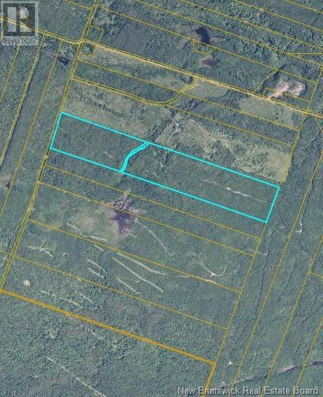 39.57 Hec Quinn Road, Belledune, NB