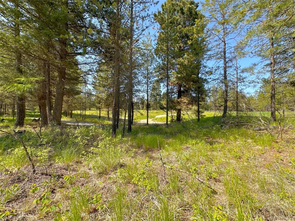 121 Corral Boulevard, Cranbrook, BC - Outdoor With View