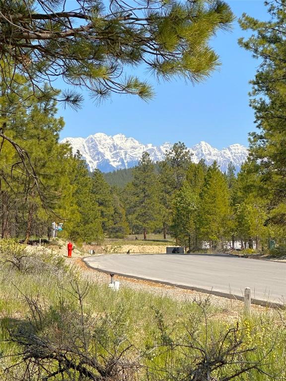 121 Corral Boulevard, Cranbrook, BC - Outdoor With View