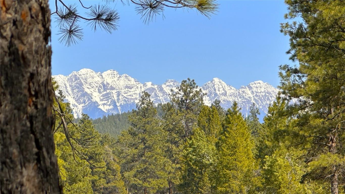 121 Corral Boulevard, Cranbrook, BC - Outdoor With View