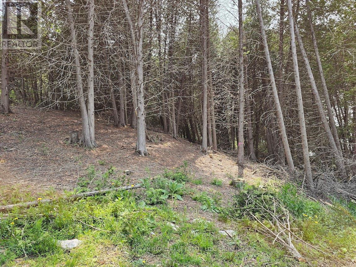 Beautiful walking trails - 0000 Cedarstone Road, Stone Mills (Stone Mills), ON