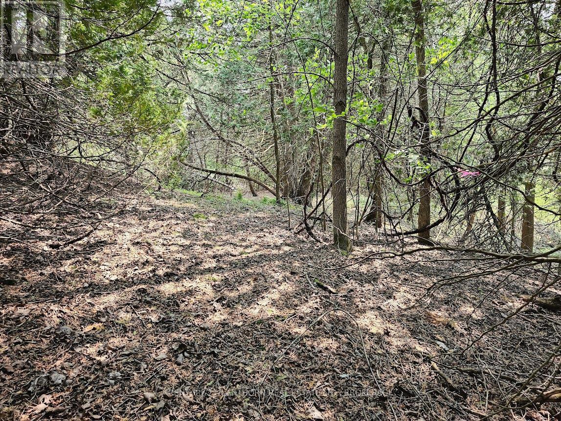 Walking paths - 0000 Cedarstone Road, Stone Mills (Stone Mills), ON