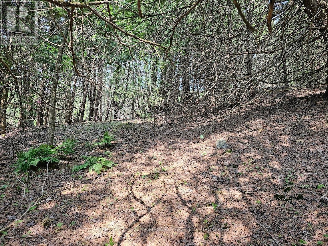 Nice walking - 0000 Cedarstone Road, Stone Mills (Stone Mills), ON