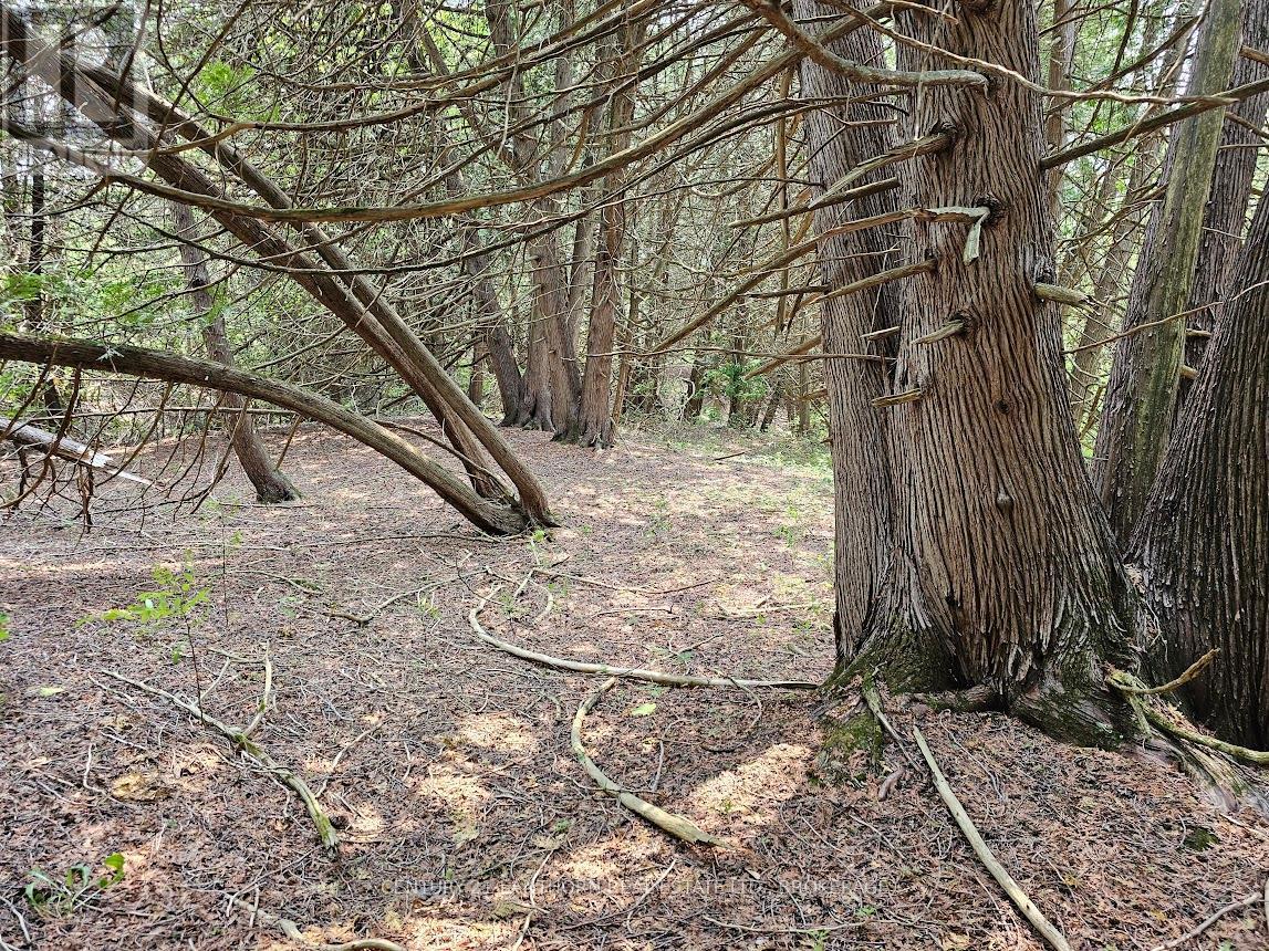 Walking paths - 0000 Cedarstone Road, Stone Mills (Stone Mills), ON