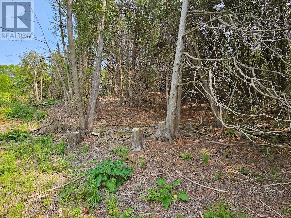 0000 Cedarstone Road, Stone Mills (Stone Mills), ON