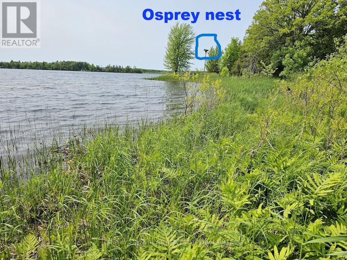 Osprey nest - 0000 Cedarstone Road, Stone Mills (Stone Mills), ON