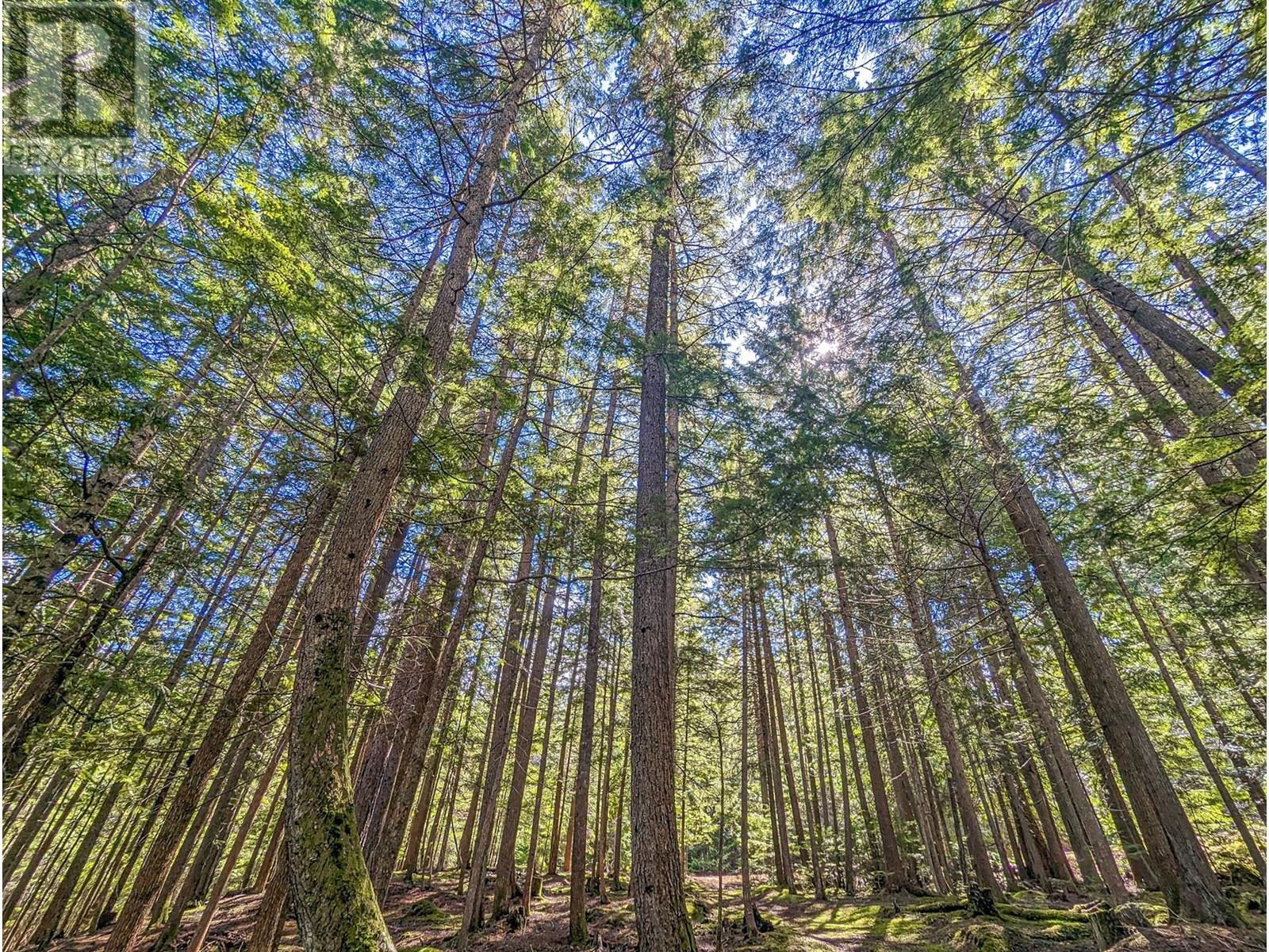 15730 Peters Road, Crawford Bay, BC - Outdoor With View