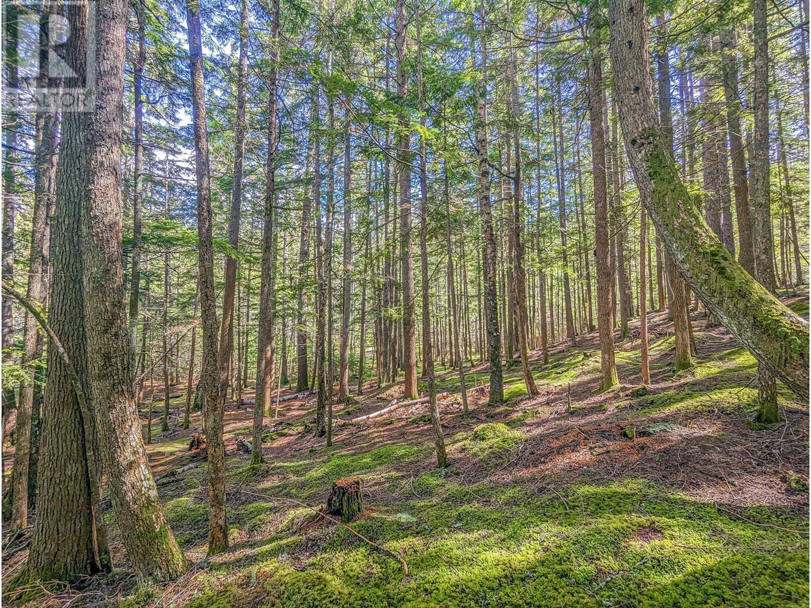 15730 Peters Road, Crawford Bay, BC - Outdoor With View