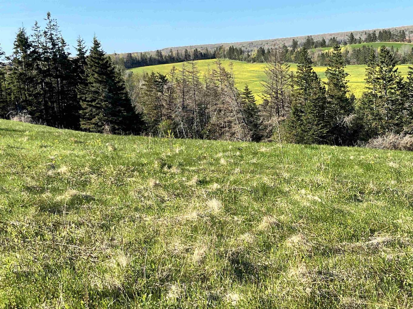 Tbd Monument Road, Stanchel, PE