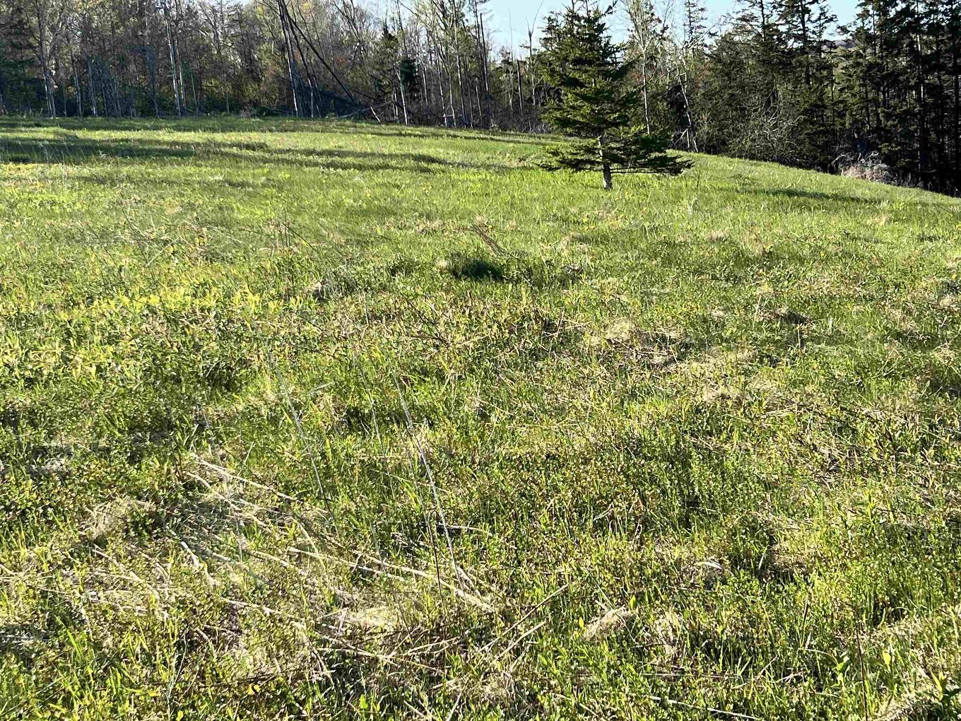 Tbd Monument Road, Stanchel, PE