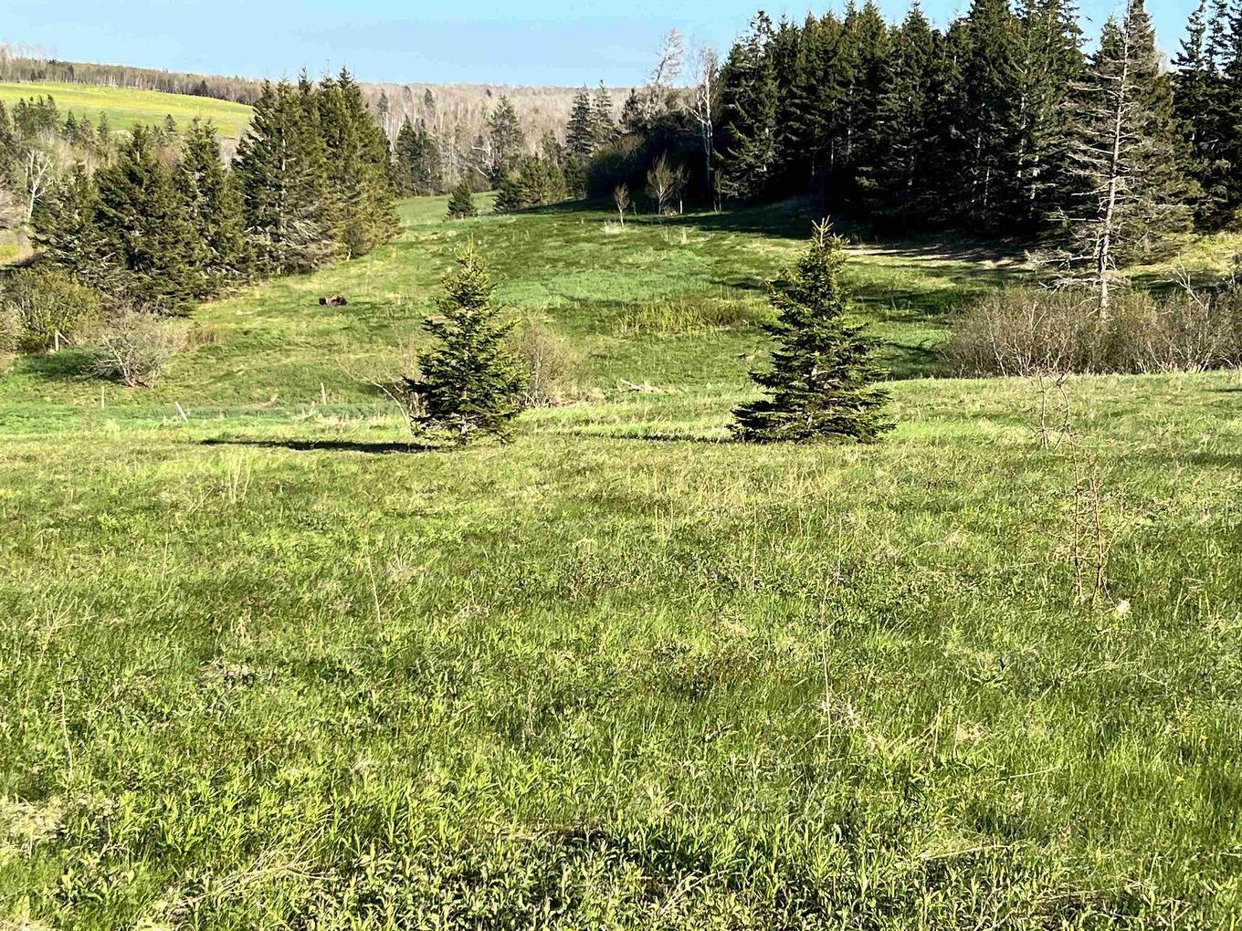 Tbd Monument Road, Stanchel, PE