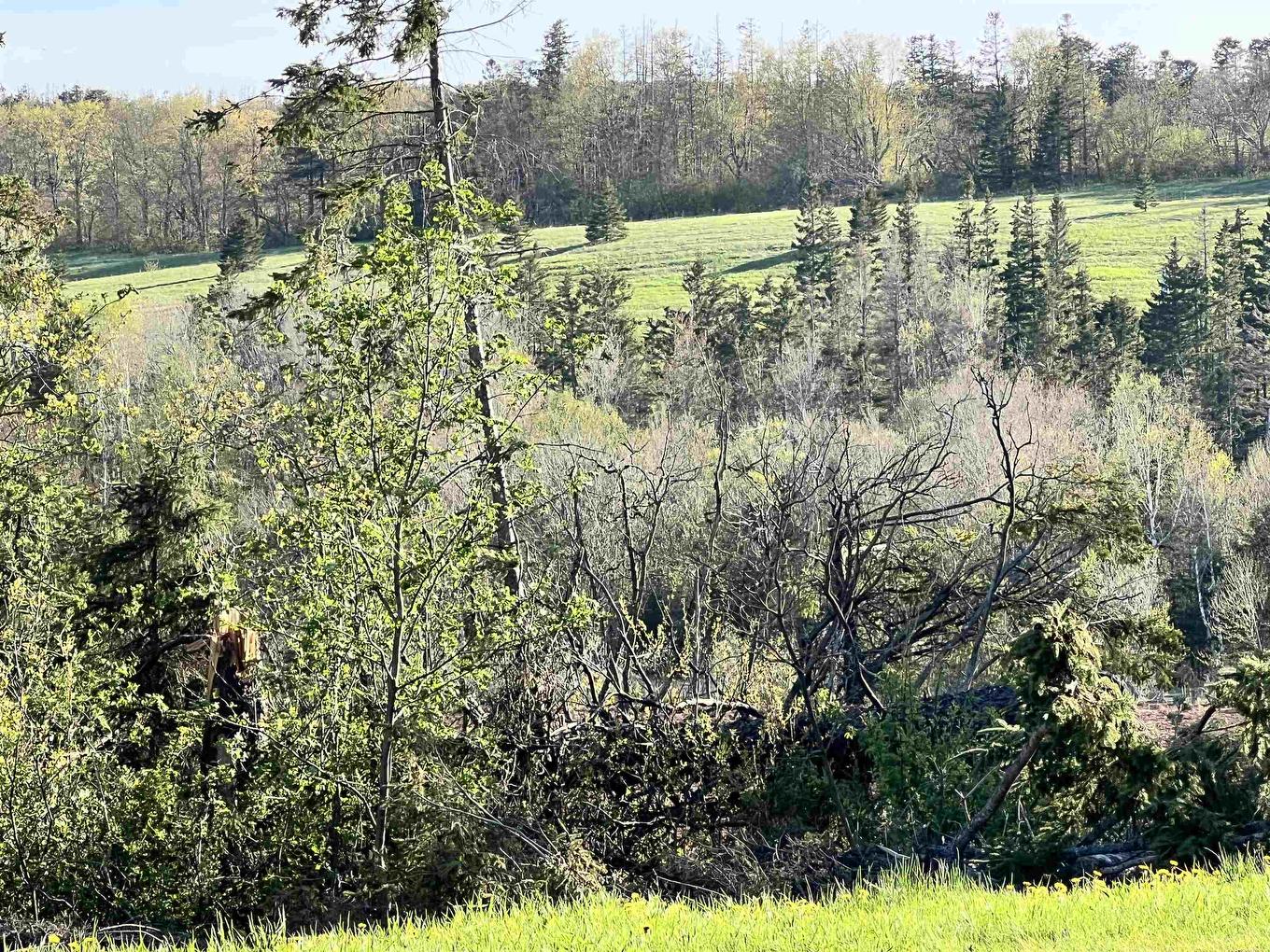 Tbd Monument Road, Stanchel, PE