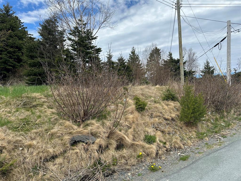 10 Power'S Lane, Marysvale, NL