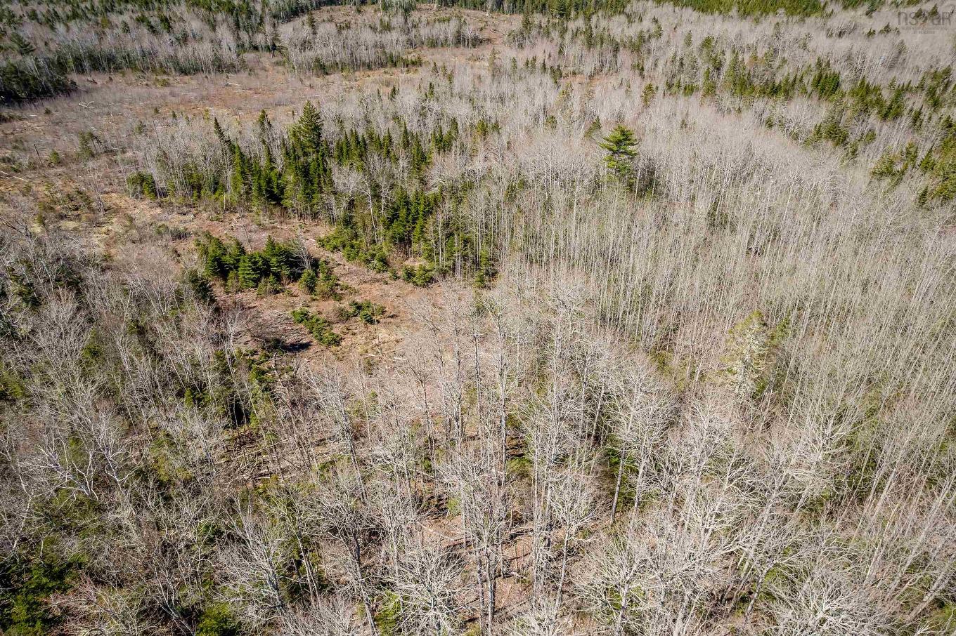 Lot A Aylesford Road, Lake Paul, NS