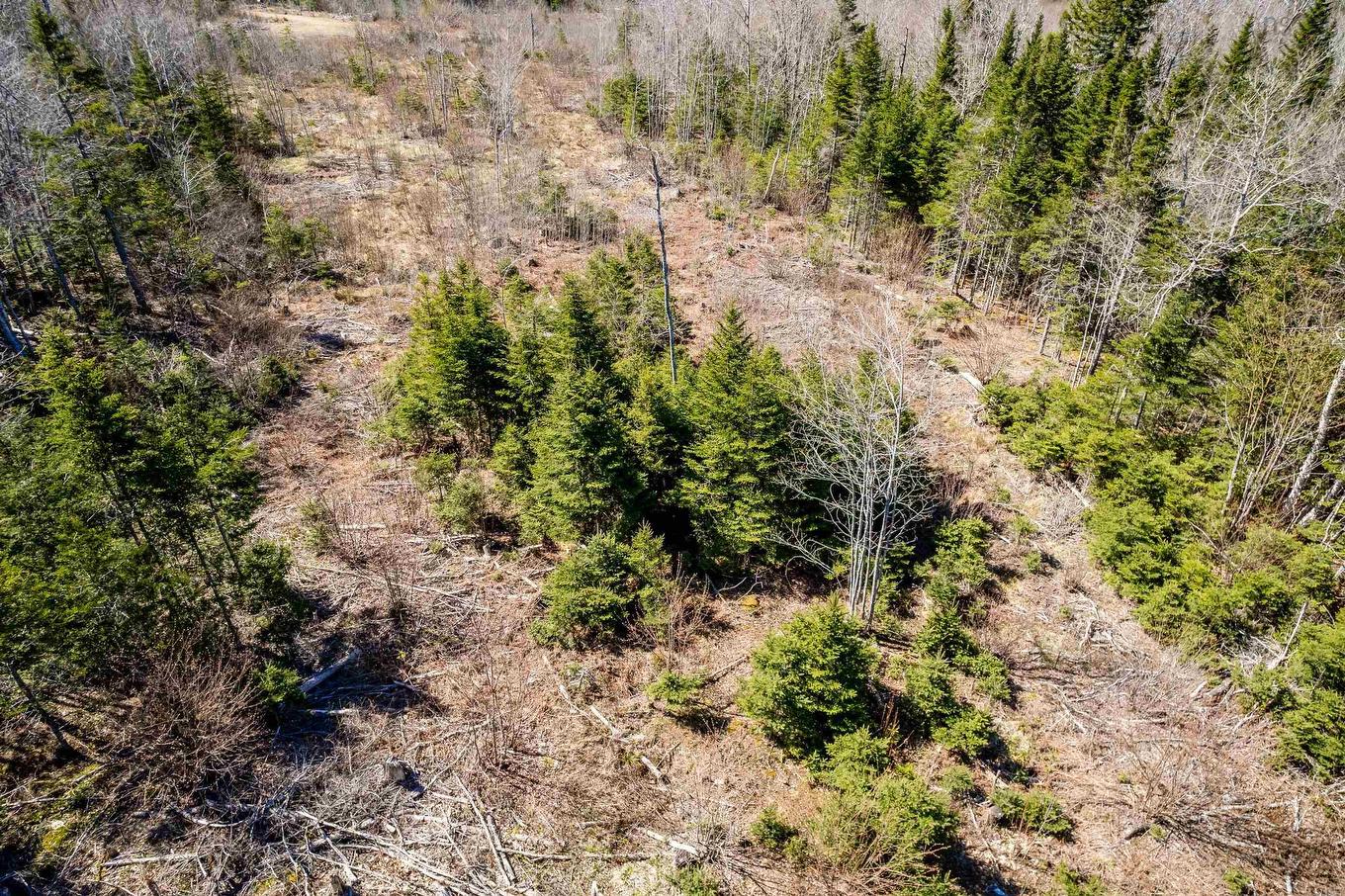 Lot A Aylesford Road, Lake Paul, NS