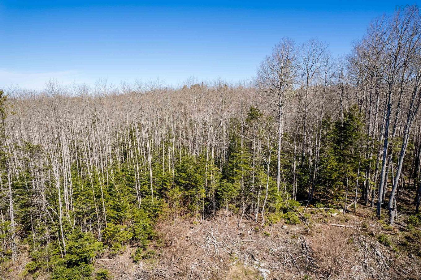Lot A Aylesford Road, Lake Paul, NS