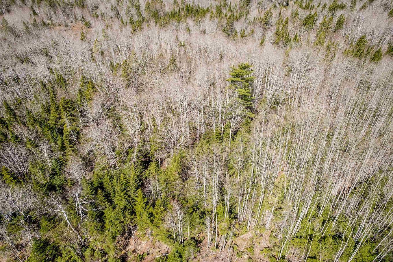 Lot A Aylesford Road, Lake Paul, NS