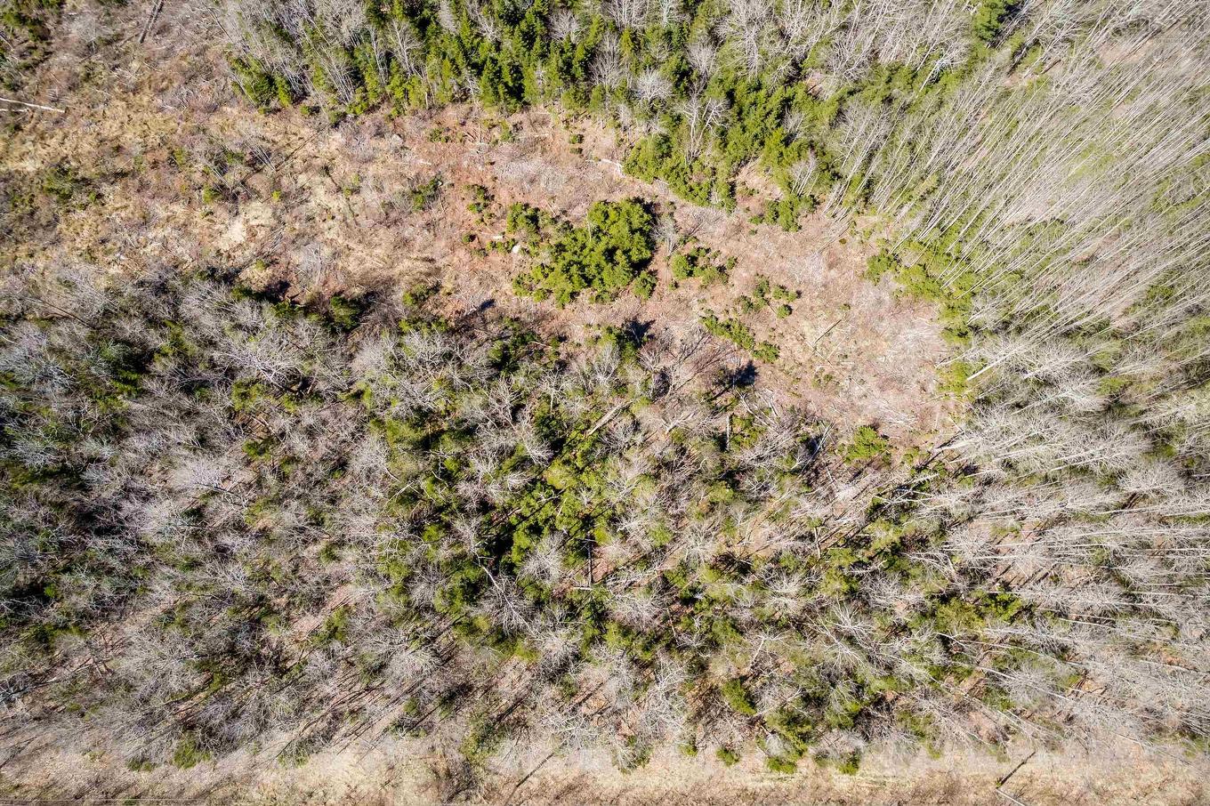 Lot A Aylesford Road, Lake Paul, NS