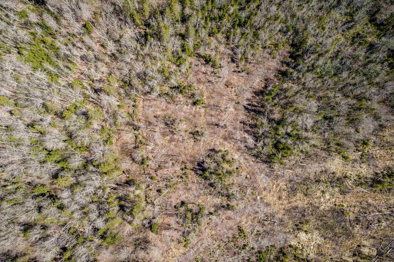 Lot A Aylesford Road, Lake Paul, NS