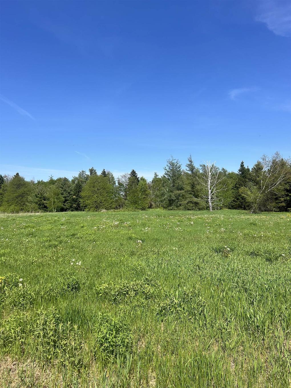 0 Richard Douglas Drive Drive W, Mermaid, PE