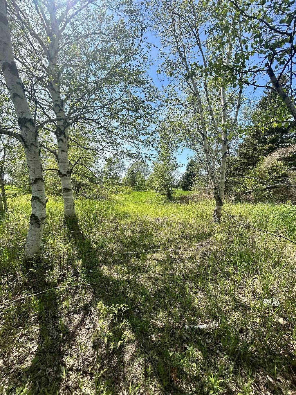 0 Richard Douglas Drive Drive W, Mermaid, PE