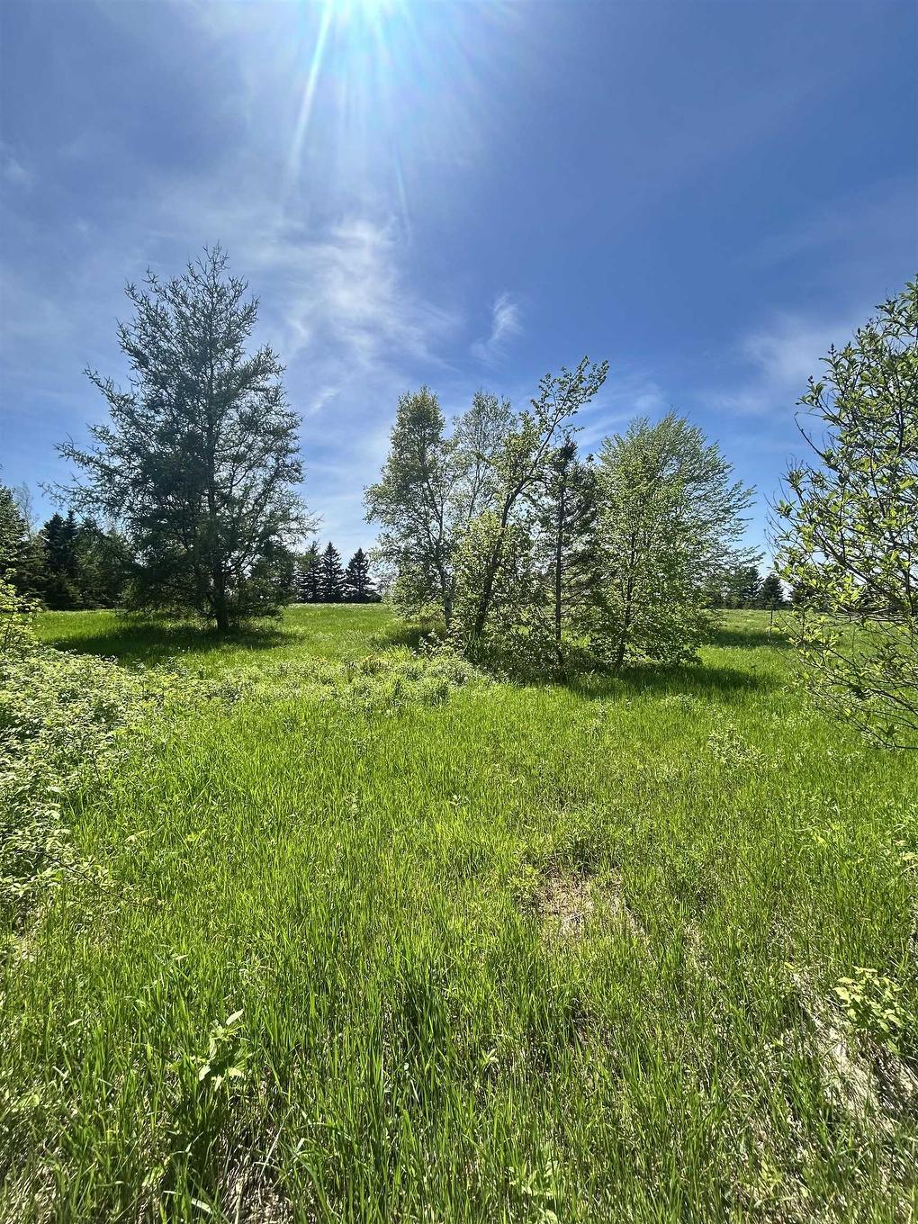 0 Richard Douglas Drive Drive W, Mermaid, PE