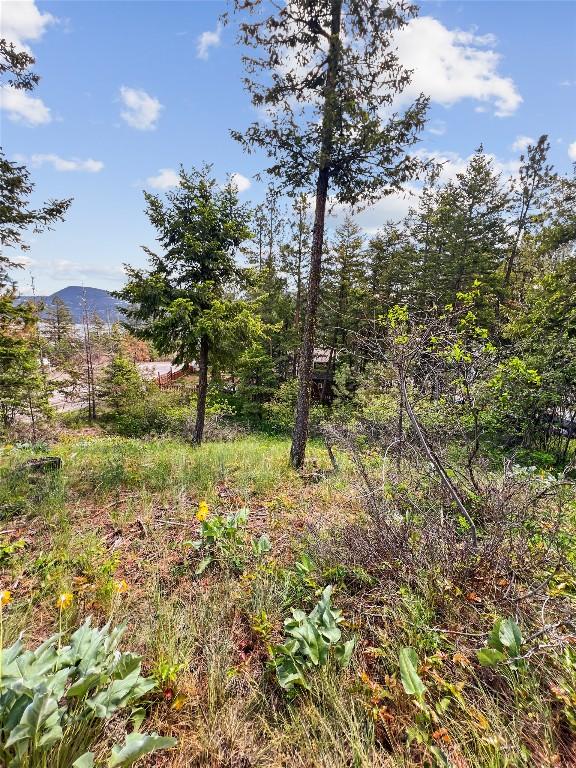42 Muir Road, Westbank, BC - Outdoor With View