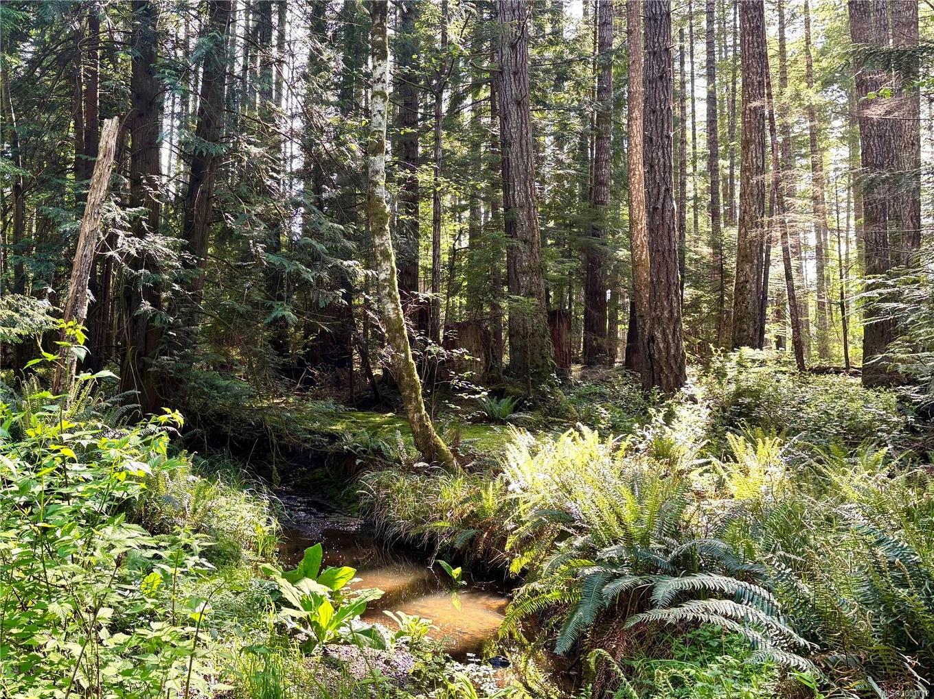 7161 Komas Rd, Denman Island, BC