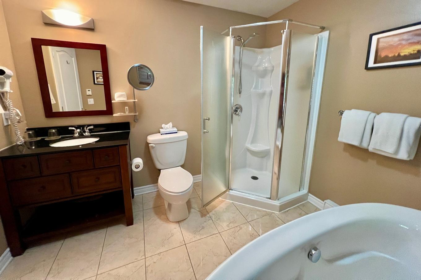 Salle de bains - 206-500 Ch. Des Frênes, Piedmont, QC - Indoor Photo Showing Bathroom