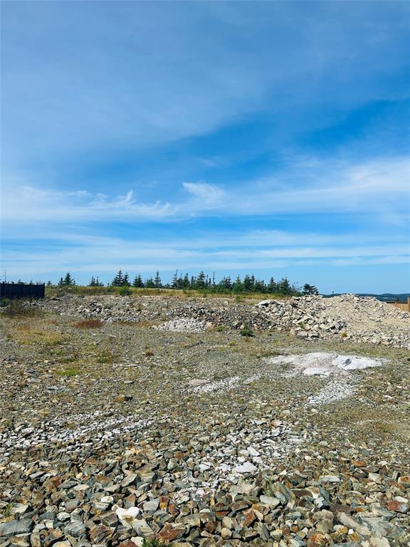 19 Flora Drive, Torbay, NL